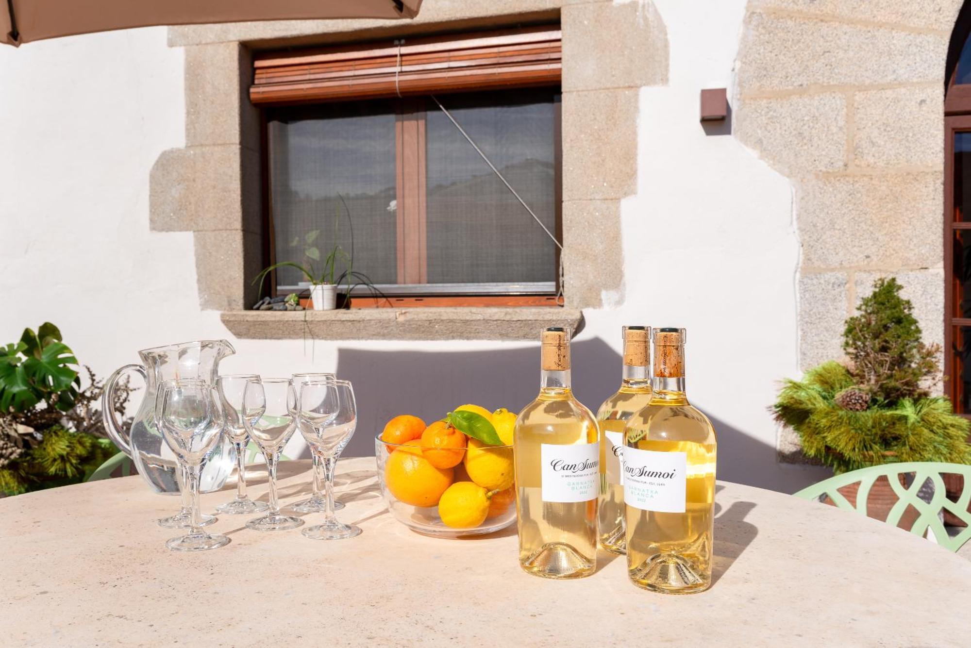 La Terraza - Grosszuegiges Appartment In Katalanischer Masia サント・イスクレ・ダ・バリャルタ エクステリア 写真